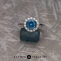 The "Anne" ring in 14k white gold with 2.06-Carat Montana Sapphire