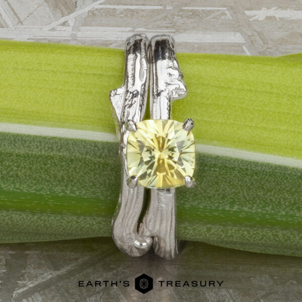The "Twyg" ring in 18K whit gold with 0.96-carat Montana sapphire, alongside the "Twyg" band in 18K white gold The "Twyg" ring in 18K white gold with a 0.96-carat Montana sapphire and the matching band rest on a green stem, evoking solitaire elegance, with the Earth's Treasury logo below.