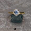 The "Anne" in 18k yellow gold with 0.97-Carat Montana sapphire