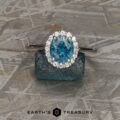 The "Anne" ring in 14k white gold with 1.92-Carat Montana Sapphire