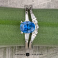 A platinum "Clio" ring with a 1.23-carat Montana sapphire and diamond accents, paired with the matching "Clio" platinum band, displayed on a green stem with the Earth’s Treasury logo below.