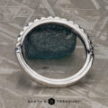 The Deluxe Pave Yogo Sapphire and Diamond Band in 14k white gold