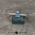 The "Alsephina" Deluxe Pave Ring in 14k white gold with 1.26-carat Montana sapphire