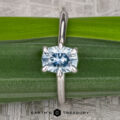 A "Nelisa" solitaire ring in 14K white gold with a 1.51-carat Montana sapphire is displayed on a green leaf. The Earth's Treasury logo is shown at the bottom of the image.