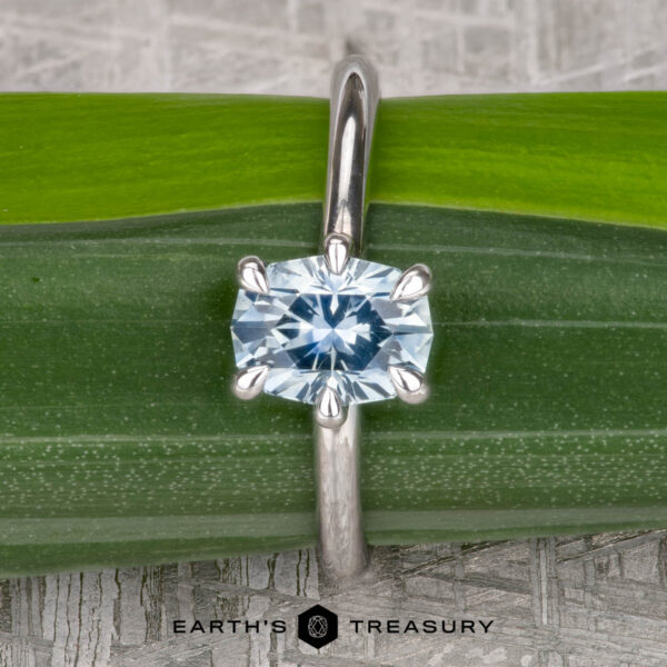 The "Nelisa" ring in 14K white gold with 1.51-carat Montana sapphire A "Nelisa" solitaire ring in 14K white gold with a 1.51-carat Montana sapphire is displayed on a green leaf. The Earth's Treasury logo is shown at the bottom of the image.