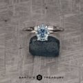 The "Nelisa" in 14k white gold with 1.51-carat Montana sapphire