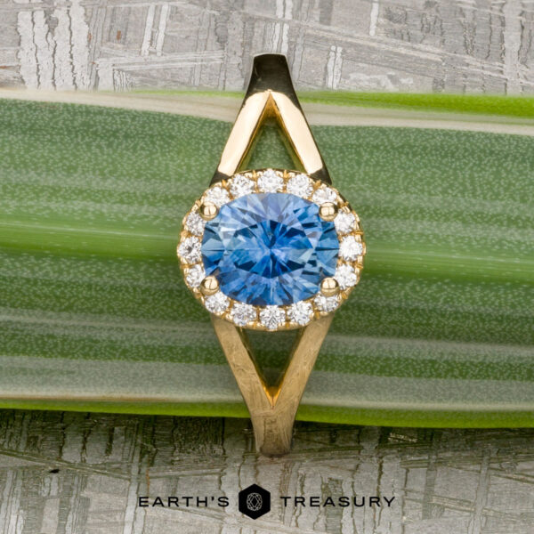 The "Diana" ring in 18K yellow gold with 1.08-carat Montana sapphire The "Diana" ring in 18K yellow gold features a 1.08-carat Montana sapphire center surrounded by diamonds, shown on a green striped leaf.