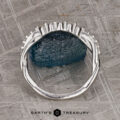 The "Lonicera" band in platinum