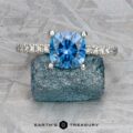 The "Amphitrite" ring in platinum with a 1.81-carat Montana sapphire rests on a rough blue stone atop a gray textured surface, with the "Earth's Treasury" logo appearing at the bottom.