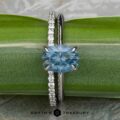 The "Tiara" ring in 18k white gold with a 2.85-carat Montana sapphire and the "Kivu" Band in 18k white gold are displayed side by side on a green surface with the Earth's Treasury logo below.