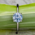 The "Tiara" ring in platinum features a 2.00-carat Montana sapphire, showcased atop a green leaf with "Earth's Treasury" displayed below.