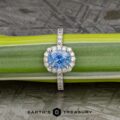 The classic pave halo ring in Platinum with 1.65-Carat Montana Sapphire