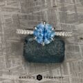 The "Anemone" ring in 14k white gold with 1.82-carat Montana sapphire
