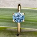 The "Alyssum" ring in 14k yellow gold, featuring a 1.63-carat Montana sapphire in a four-prong setting, rests on a green leaf—with the Earth’s Treasury logo below, inspired by alyssum blooms for an elegant touch.