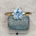 The "Alyssum" ring, crafted in 14k yellow gold with a 1.63-carat Montana sapphire, is displayed on a rough blue stone against a textured gray background.