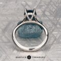 The "Anastasia" ring in platinum, featuring a 2.34-carat Montana sapphire and hidden halo diamonds, stands upright on a textured gray surface. The EARTH'S TREASURY logo and text are displayed at the bottom.