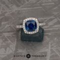 The Classic Pave Halo Ring in Platinum with 1.88-Carat Montana Sapphire