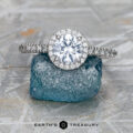 The Petite Pave Halo ring in 14K white gold with 0.98-Carat Montana Sapphire