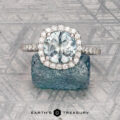 The "Kristen" ring in 14K white gold with 1.85-carat Montana sapphire