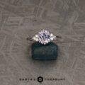 The "Mari" Ring in Platinum with 1.57-Carat Montana Sapphire