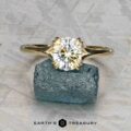 The "Daphne" ring in 14k yellow gold with a 1.71-carat Montana sapphire rests on a rough blue stone over a gray textured surface. The text "EARTH'S TREASURY" below captures the elegance of Daphne's timeless style.