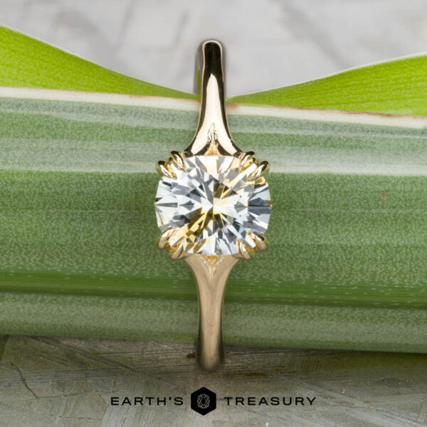 The "Daphne" ring in 14k yellow gold with 1.71-carat Montana sapphire The "Daphne" ring in 14k yellow gold, set with a 1.71-carat Montana sapphire, stands upright against a green leaf background. The Earth's Treasury logo is shown below.