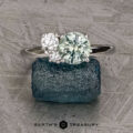 The "Hyacinth" ring in 14k white gold with 1.46-Carat Montana Sapphire