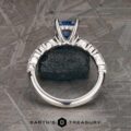 The "Clemencia" ring in platinum with 1.72-Carat Ceylon Sapphire