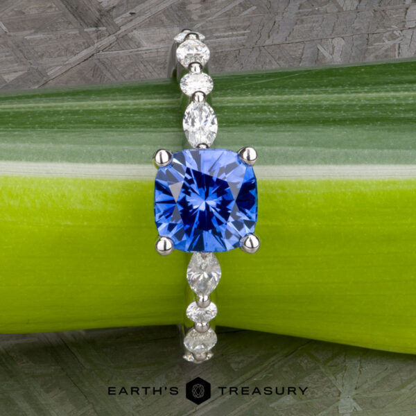 The "Clemencia" ring in platinum with 1.72-carat Ceylon sapphire The "Clemencia" ring in platinum with 1.72-carat Ceylon sapphire