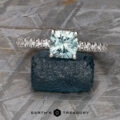 The Classic Pave "Claire" ring in platinum with 1.60-carat Montana sapphire