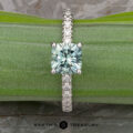 The Classic Pave "Claire" ring in platinum with 1.60-carat Montana sapphire