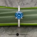 The Classic Pave “Flora” Ring in platinum with 2.28-Carat Montana Sapphire