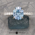 The Classic Pave "Sophia" ring in platinum with 2.47-Carat Montana Sapphire