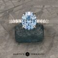 The Classic Pave "Sophia" in platinum with 2.47-Carat Montana Sapphire