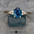 The "Vela" ring in 14k yellow gold with 2.00-carat Montana sapphire