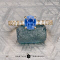 The Deluxe "Amelia" ring in 18K yellow gold with 1.27-carat Ceylon sapphire