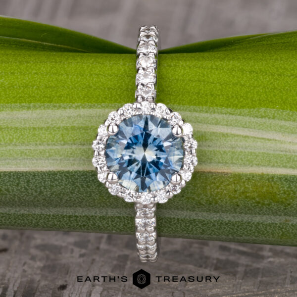 The Classic Prong-Set Halo Ring in 14k white gold with 1.50-carat Montana sapphire The Classic Prong-Set Halo Ring in 14k white gold with 1.50-carat Montana sapphire