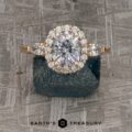 The "Circe" ring in 20k pink gold with 1.55-carat Montana sapphire
