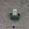 The Petite Pave "Eugenie" Ring in 14k yellow gold with 3.70-Carat Montana Sapphire