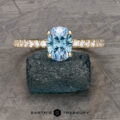 The Petite Pave "Eugenie" Ring in 14k yellow gold with 1.52-carat Montana sapphire