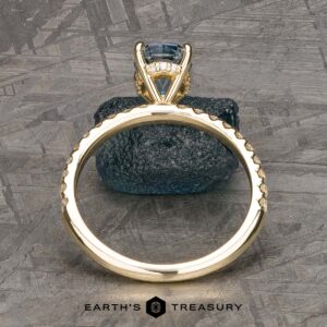 The Petite Pave "Eugenie" Ring in 14k yellow gold with 1.52-carat Montana sapphire