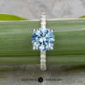 The "Cecilie" ring in 14K white gold with 2.12-carat Montana sapphire
