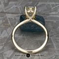 The “Vanessa” Ring in 14k yellow gold with 3.08-Carat Montana Sapphire