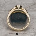 The "Isolde" ring in 14k yellow gold with 1.01-carat Montana sapphire
