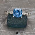 The “Arabella” ring in platinum with 1.60-Carat Montana Sapphire