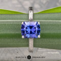 The Engraved "Cathedral" ring in 14K white gold with a 2.75-carat square-cut Tanzanite is displayed vertically against a green plant, with the "Earth's Treasury" logo at the bottom.