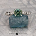 The "Arabella" ring in platinum with 0.99-carat Australian sapphire