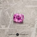 A cushion-cut 1.24-Carat Pink Madagascar Sapphire with a brilliant shine is placed on a textured grey surface. The image has the text "EARTH'S TREASURY" at the bottom along with a geometric logo.