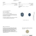 The PM2495 GIA cert provides an origin report for a 5.86-carat modified oval brilliant cut Montana Sapphire in rich blue, originating from Montana, USA. The report covers details such as the gemstone's measurements, weight, color, and its status as a heated gem.