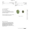 The PM2499 NEW GIA Report provides detailed information about a Gray-Green Montana Sapphire, including its weight, dimensions, origin (Montana, USA), mining details, and images.